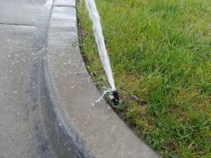 Broken pop-up sprinkler head spraying water