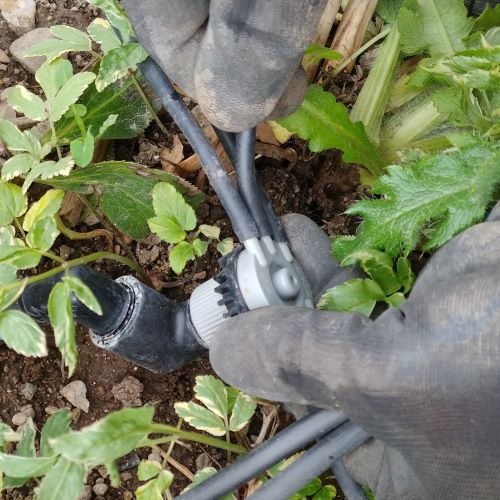 Adding drip manifold to an existing sprinkler system