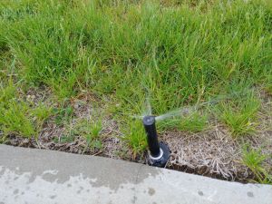 plugged sprinkler head nozzle