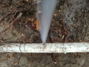 Picture of a broken Sprinkler PVC Pipe leaking